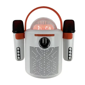 10W Portable Wireless Bluetooth Speaker with Karaoke Microphone for Outdoor Use