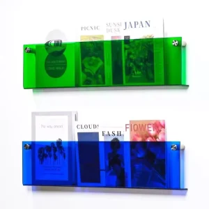 12-Color Acrylic Wall-Mount Brochure Holder Magazine Rack Pamphlet Stand Literature Organizer