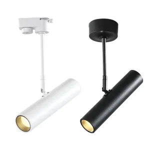 20W 30W 40W LED COB Par30 Track Spotlight