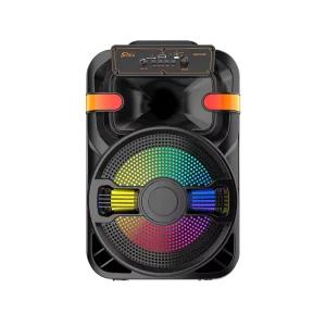 20W High Power Portable Mini Karaoke Speaker with RGB LED Lighting Wireless Microphone Battery for Outdoor Party & Home KTV Use