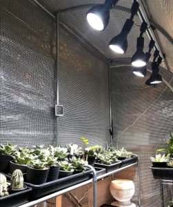 30W PAR30 Aluminum LED Grow Light Bulb No Fan COB Full Spectrum Bloom Light E26 E27 Track Spotlight for Indoor Plants