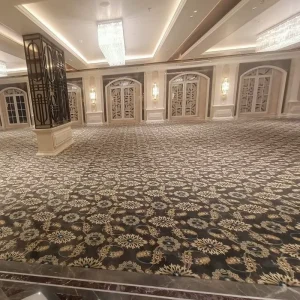 3D Printed Tufted Loop Pile Modern Washable Commercial Use Wall to Wall Banquet 850g Polyester Hall Carpet for 5 Star Hotel