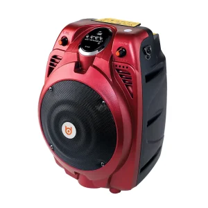 6 Inch Portable Speaker 15W CD7377 Chip 100W PMPO Waterproof Outdoor Speaker