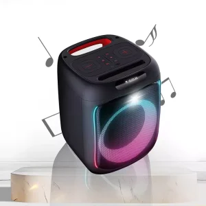 6.5 Inch Factory OEM Outdoor Karaoke Portable Trolley Party Speaker
