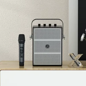 60W Home Party Speaker PA System Portable Karaoke Speaker With UHF Wireless Handheld Microphone