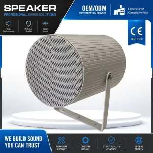 Adjustable Angle Directional Horn Speaker 70V 100V Wall Mount PA Loudspeaker