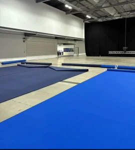 Blue Needle Punch Disposable Plain Exhibition Carpet for Exhibition Events and Wedding Venues from Chinese Factory