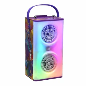 Bluetooth Portable Karaoke Subwoofer Bass Kids Karaoke Machine Graffiti Speaker with Mic