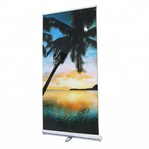 Custom Digital Printing Portable Retractable Roll Up Banner