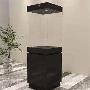 Custom Glass Display Cabinet for Exhibit