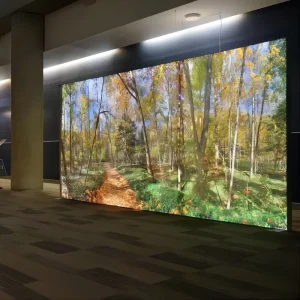 Custom Indoor Wall LED Light Box, Fabric-Fronted Advertising Signboard for Restaurants and Cafes