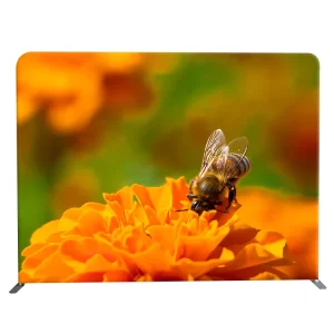 Custom Printed Exhibition Trade Show Pop-Up Display Wall with Stretch Tension Fabric Backdrop
