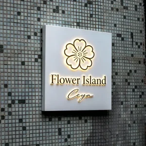 Custom Wall-Mounted Indoor Outdoor Illuminated Light Box Sign with 3D Letters