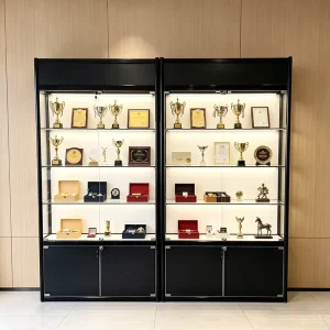 Customized Glass Display Cabinet with LED Lighting and Multi-Layer Shelves