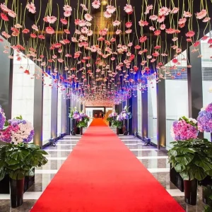 Decorative Office Hotel Parlor Hallway Thickened Exhibition Carpet Red Carpet for Events