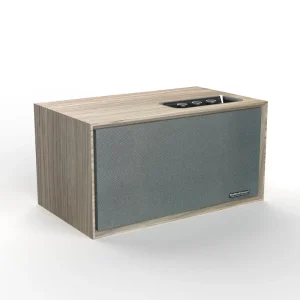 Desktop Speaker Powered Wireless for 5.2 Bass Portable Active Mini Speaker FM USB C Hands free for Home Theatre Party Use