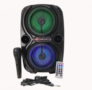 Dual 6.5inch Portable Speakers Rechargeable Outdoor with Microphone for