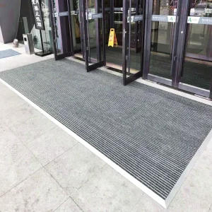 Dust Removal Aluminum Alloy Entrance Floor Mat with Waterproof Carpet