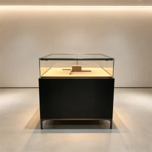 Frameless Glass Museum Display Cabinet with Matte Black Finish and LED Lighting
