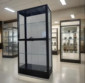 Glass Display Cabinet with Shelves and LED Lights