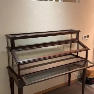 Glass and Solid Wood Display Cabinet