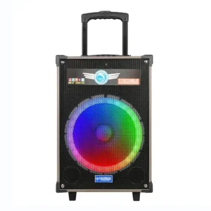 HS-TS12Q3 Portable High-Power Karaoke Speaker for Outdoor Use