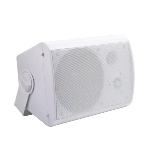 Hi Fi WiFi Bluetooth Stereo Wall Mounted Speakers Active and Passive with AirPlay Support