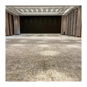 High Quality Wall to Wall Carpet Manufacturer Nylon Custom Printing Carpets Modern Design Style Hotel Carpets