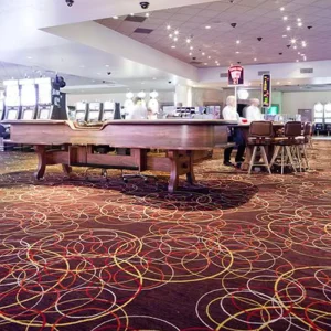 Hotel Carpet Rolls Nylon for Meeting Room, Lobby, Corridor, Guest Lounge and Wedding Wall-to-Wall Carpet
