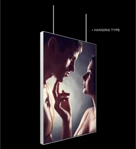 Indoor and Outdoor LED Light Box Display, Hanging or Floor Stand, for Posters and Signs