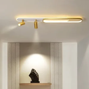 Iron Acrylic Living Room LED Ceiling Spotlights Surface-Mounted Track Downlights Commercial Lighting