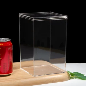 Large Clear PS Material Display Case Dustproof Storage Box For Dolls Anime Figures Plush Toys Collection Transparent Showcase