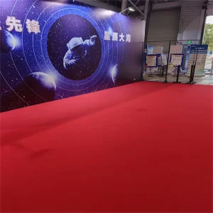 Lightweight Customizable Carpet for Stages, Exhibition Halls, and Events