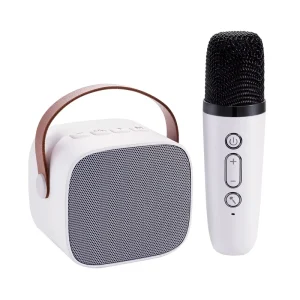 Mini Portable Speaker Outdoor Mini Party Bass Hifi BT Speaker with Mic Home Wireless Karaoke Speaker