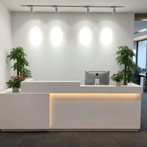 Minimalist Wood Reception Desk and Office Counter for Salons Retail Stores and Clinics