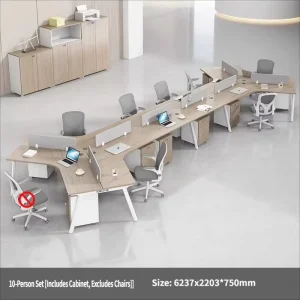 Modern Executive Office Desk and Chair Set