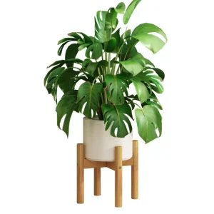 Moso Bamboo Cross-Shaped Non-Folding Plant Stand for Balcony or Living Room Floor-Standing Pot Display