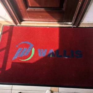 Personalized Houston Logo Waterproof Non-Slip PP Pile Floor Mat