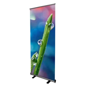 Portable 2m Narrow Base Aluminum Hexagonal Roll Up Banner Stand Retractable Display for Promotion