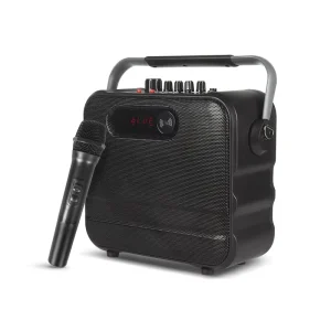Portable Handheld Outdoor Speaker Home Wireless Audio with Microphone