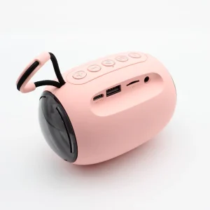 Portable Mini Party Outdoor Speaker with RGB LED Lighting, WiFi and AUX