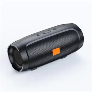 Portable Waterproof Outdoor Bluetooth Speaker with RGB, TWS Surround Sound, Auxiliary Input, TF Card and FM Radio