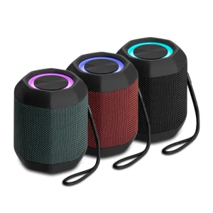 Portable Wireless Bluetooth Speaker with FM Radio, Bass, Stereo Sound and Microphone for Outdoor Use