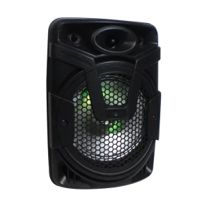 Powerful Rechargeable Portable Speaker Outdoor Active Party Speaker DJ Karaoke 8” Woofer Speaker
