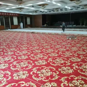 Printed Banquet Room Commercial Carpet Hall Theatre Wall to Wall Hotel Carpet