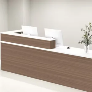 Reception Desk with Counter Modern Front Desk with Storage Cashier Counter for Office Salon Boutique Coffee Shop