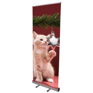 Retractable Roll Up LED Light Box Banner Stand Portable Backlit Display for Trade Show