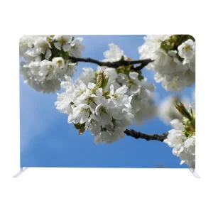 Reusable Tension Fabric Display System for Frequent Events