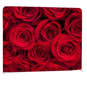 Stretch Tension Fabric 8ft 10ft 20ft Exhibition Backdrop Trade Show Pop-up Display Booth Banner Stand