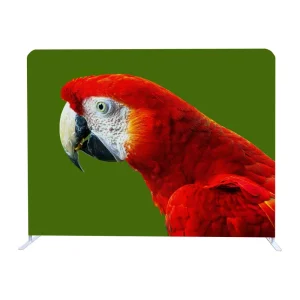 Stretch Tension Fabric Display Backdrop for Trade Shows and Conferences